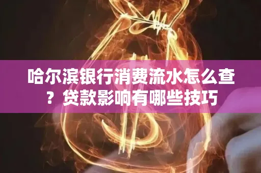 哈尔滨银行消费流水怎么查?贷款影响有哪些技巧